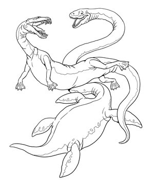 Fight between two underwater dinosaurs. Nothosaurus attacks the Elasmosaurus. Coloring page with prehistoric animals on transparent background.