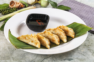 Japanese cuisine - stuffed dumplings gyoza