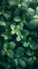 green and blue small boat on the river, high mountain illustration poster background