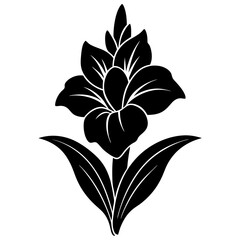 gladiolus flower silhouette vector line art icon