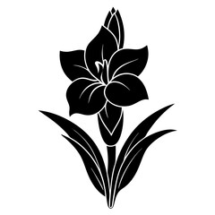 gladiolus flower silhouette vector line art icon