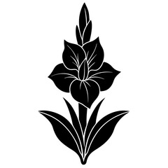 gladiolus flower silhouette vector line art icon