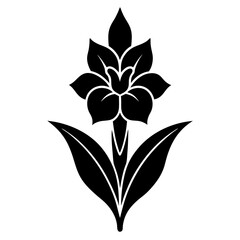 gladiolus flower silhouette vector line art icon