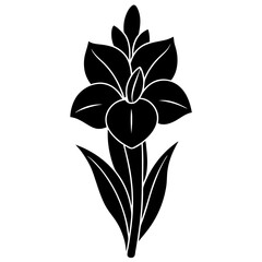 gladiolus flower silhouette vector line art icon