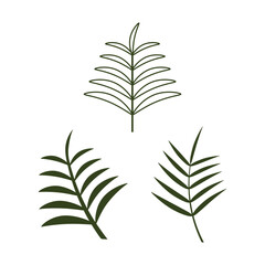 Leaf Palm oil illustration design