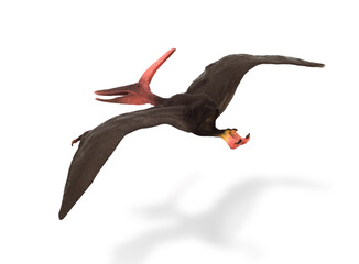 plastic toy pteranodon isolated on white