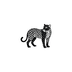 Jaguar. Hand drawn sketch illustration isolated on white background. portrait of a Jaguar animal, vector sketch illustration