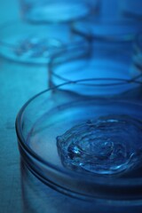 Petri dishes with samples on table, closeup. Color toned