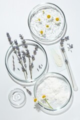 Petri dishes with lavender, chamomile flowers and cosmetic products on white background, flat lay