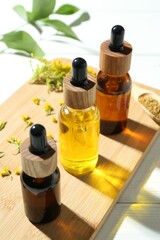 Tinctures in bottles and medicinal herbs on white wooden table