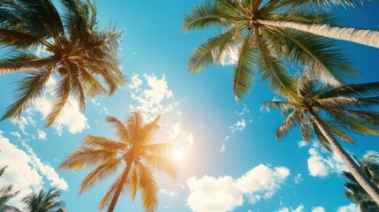 Palm Trees Under a Sunny Sky