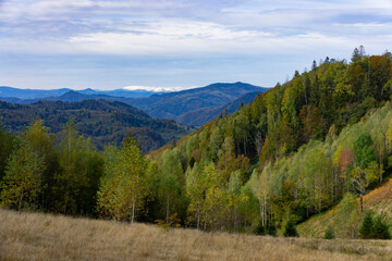 Mountain Landscape with Autumn Forest and Distant Snow-Capped Peaks