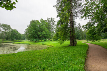 A park with a pond and a path