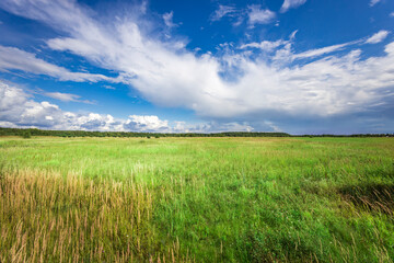 Obraz premium A lush green meadow stretches to the horizon, illuminated by the gentle glow of the sun, while dramatic clouds dance across the expansive sky.