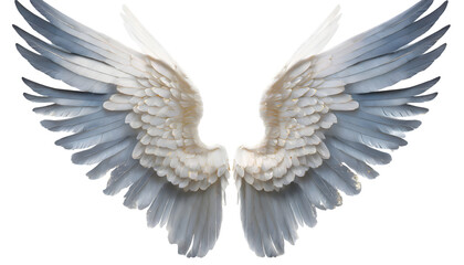 Obraz premium Beautiful magic angel wings Splash on a white isolated background. Generative AI.