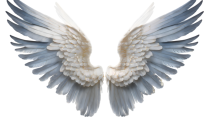 Beautiful magic angel wings Splash on a white isolated background. Generative AI.