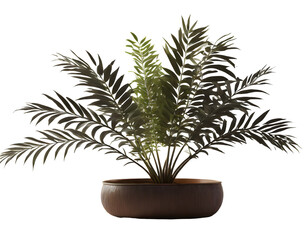 beautiful plant in 3d rendering on a isolated on white backgroun. Generative AI.