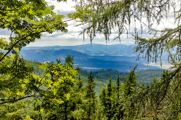 Lush green tree branches framing a panoramic view of distant mountains and valleys under a partly cloudy sky