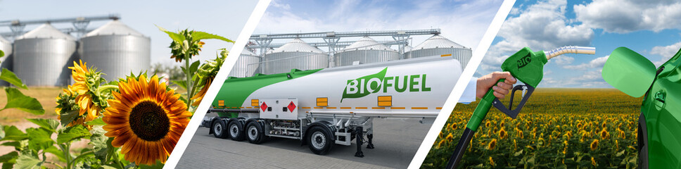 Collage of three parts: sunflower field, agricultural silos, biofuel filling station. Carbon...