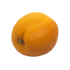 orange on white background