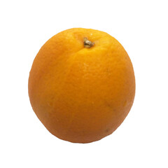 orange on white background