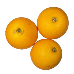 orange on white background