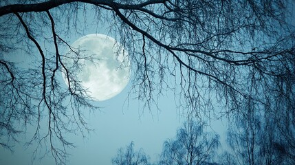 Full moon shining brightly through bare tree branches in a tranquil nighttime sky