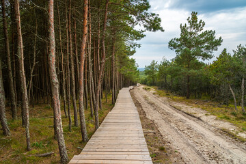 Trail to observation deck on Olenya Buda dunes with views of Swan Lake. Curonian Spit National Park. Russia