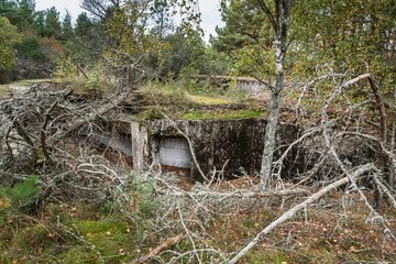 Coastal Batareya Raul in Curonian spit national Park. Morskoe. Kaliningrad region. Russia