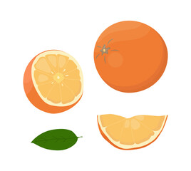 Orange fruit isolated on a white background. Vector illustration, icon of citrus fruit. Whole and chopped oranges in a hand-drawn style.