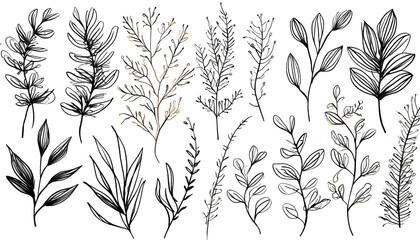 Botanical elements set . Hand drawn botanical contour vector illustration on white isolated. Generative AI.