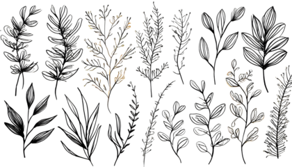 Botanical elements set . Hand drawn botanical contour vector illustration on white isolated. Generative AI.