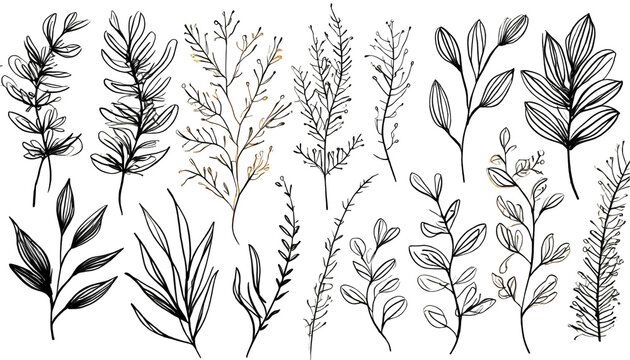 Botanical elements set . Hand drawn botanical contour vector illustration on white isolated. Generative AI. - Powered by Adobe