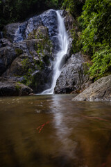 Waterfall in deep tropical rainforest with green rainy tree