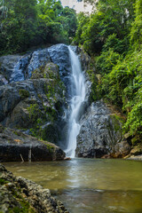 Fototapeta premium Waterfall in deep tropical rainforest with green rainy tree