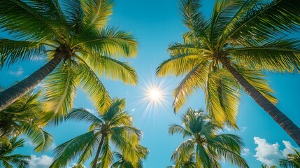 Palm tree avenue under clear blue sky, vibrant green palm fronds, tropical paradise, sun flare through leaves, cloudless azure sky, summer vacation atmosphere, lush oasis, exotic landscape.