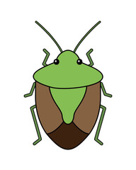 カメムシのシンプルなイラスト（チャバネアオカメムシ）