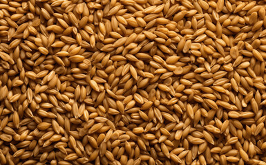 Golden Grains Background Featuring Abundant Organic Rice Seeds in a Detailed Close-up Shot