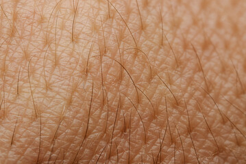 human skin with hairs in high magnification detail
