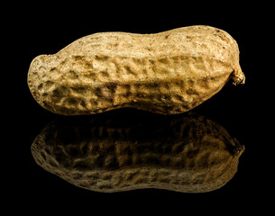 peanut in shell detail with reflection