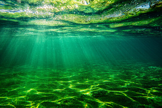 Sunlight pierces through the water illuminating the green ocean floor creating a serene and beautiful underwater scene