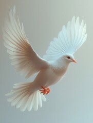 Fototapeta premium white dove isolated on background