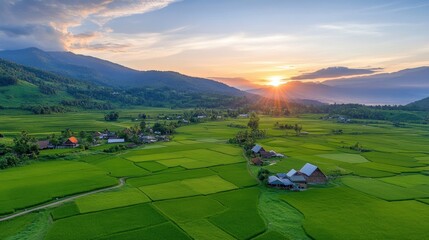 A picturesque village surrounded by rice fields, with the setting sun casting a warm glow