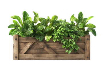 A vibrant wooden planter filled with lush green plants, perfect for adding a natural touch to any interior or exterior space.