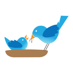 birds feed their young