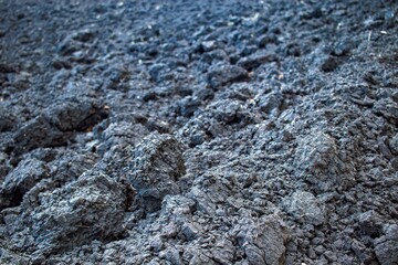 Black soil texture background. Close-up of black soil surface.