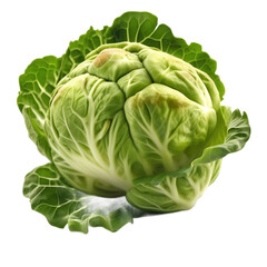 Fototapeta premium Brussels sprout, vegetable - Generative Ai