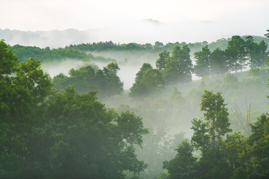 Farmlands and forests covered in fog near Boone North Carolina at sunrise