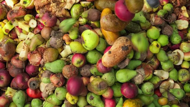 Food Waste. Compostable food scraps. Domestic organic waste for compost from fruits and vegetables. Recyclable materials. Separate waste collection. Compost bin with organic waste