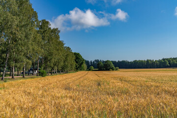 Obraz premium Views around Turku Finland SCandanavia Europe